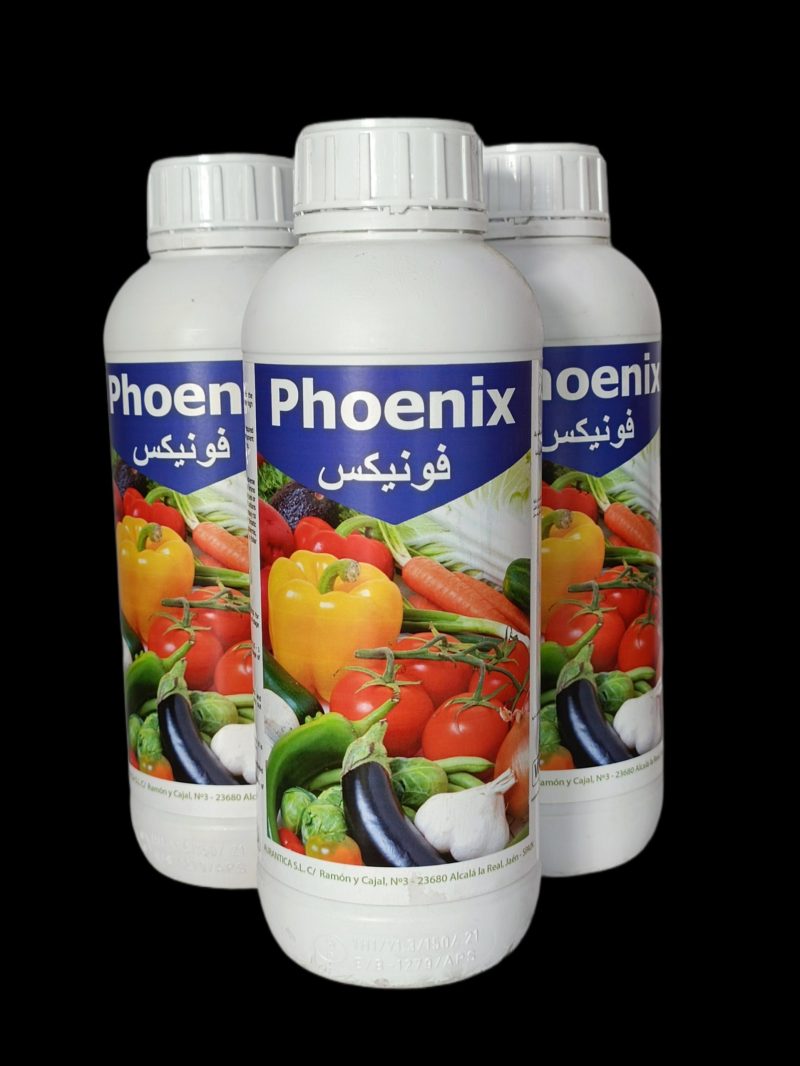 PHOENIX