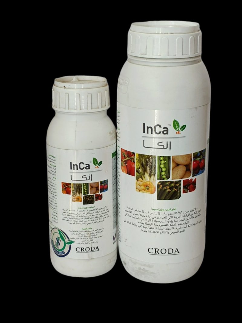 InCa