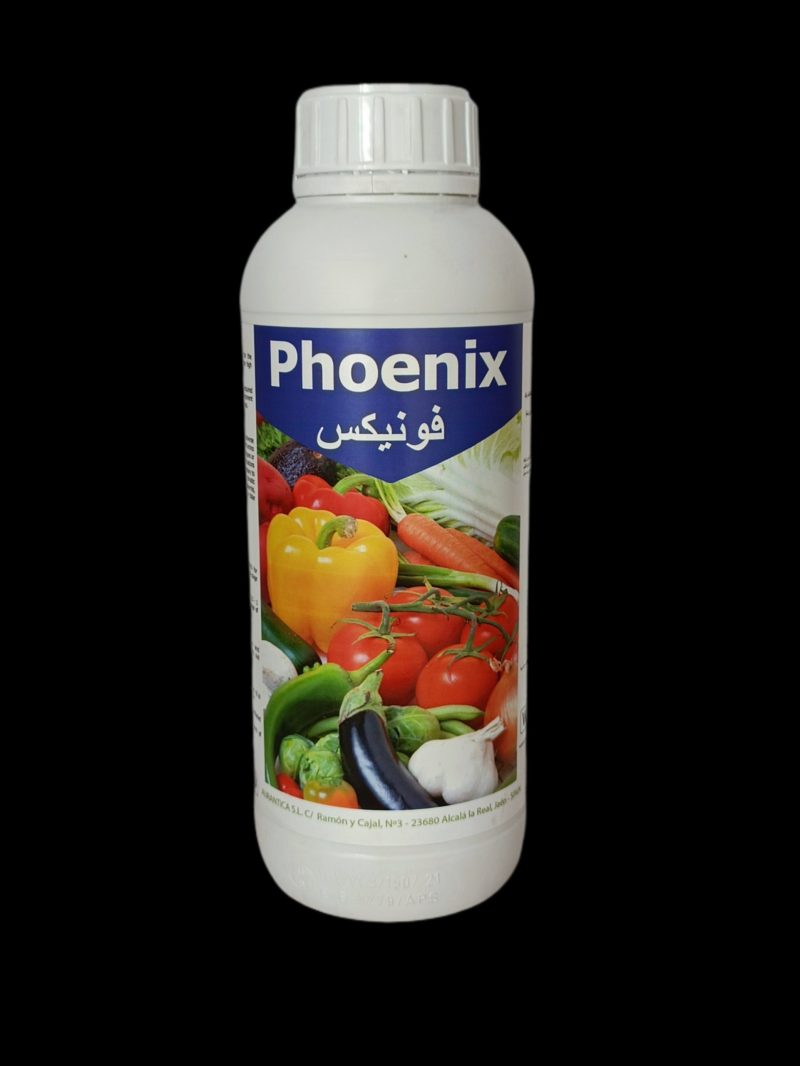 PHOENIX
