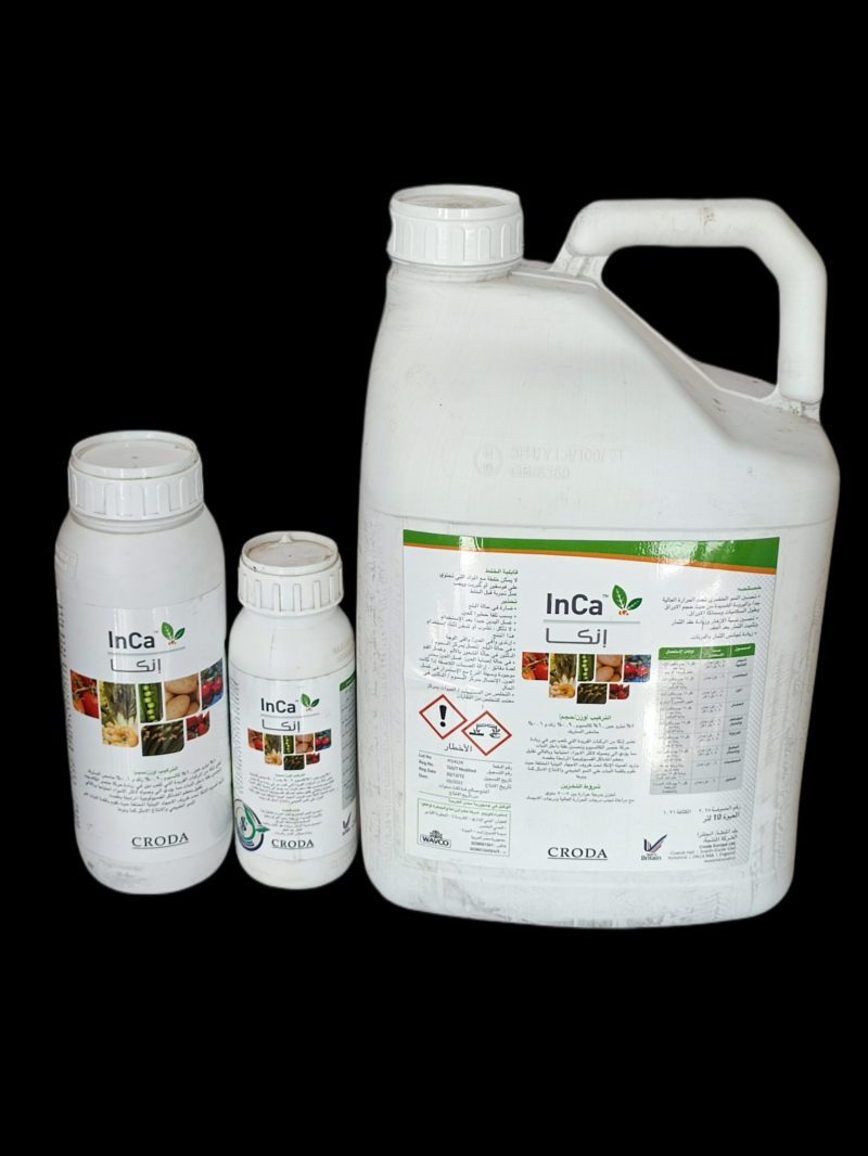 InCa