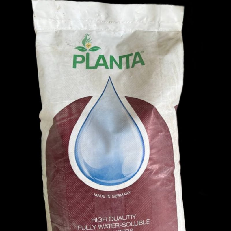 PLANTA