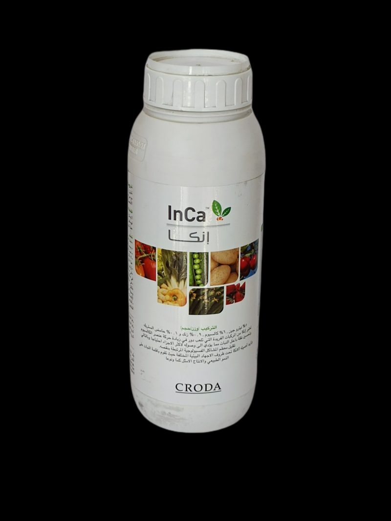 InCa
