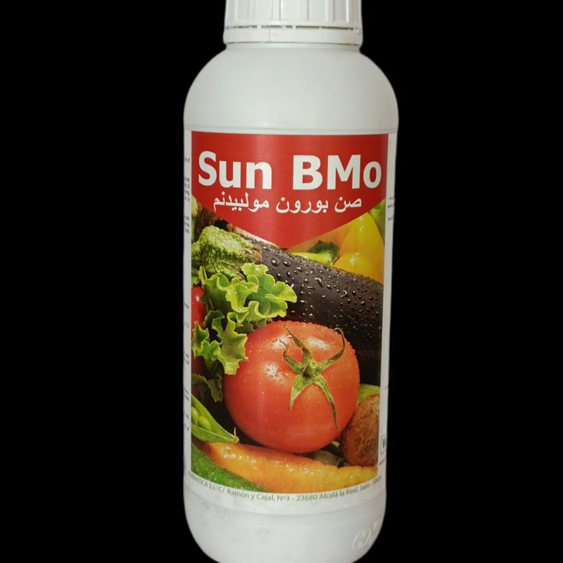 SUN Bmo